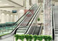 1000mm Subway 2 Cascade 0.5m Shopping Mall المصعد الكهربائي نوع المسمار