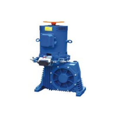 AC220V محرك الدرج المتحرك الكهربائي محرك الزخم و محرك التزحلق