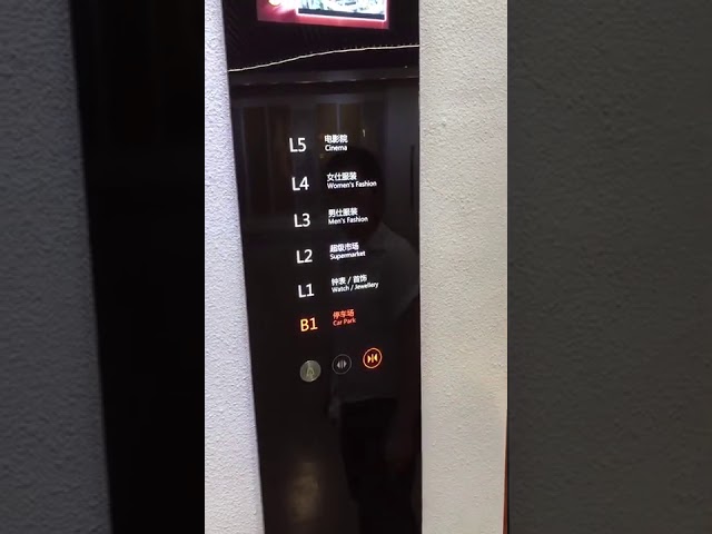 Vvvf Control PVC Flooring Panoramic Elevator مع غرفة الآلة