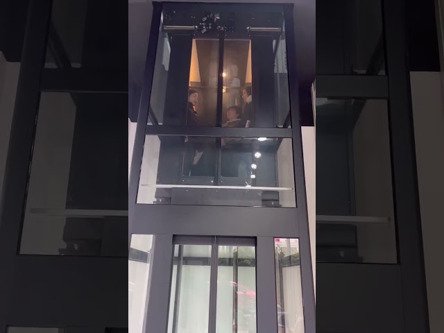 320kg 0.4m / S Residential Home Elevator AC Drive منتج صديق للبيئة