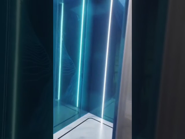 1000kg FUJI Passenger Elevator with Japan Technology VVVF Elevator Elevator System